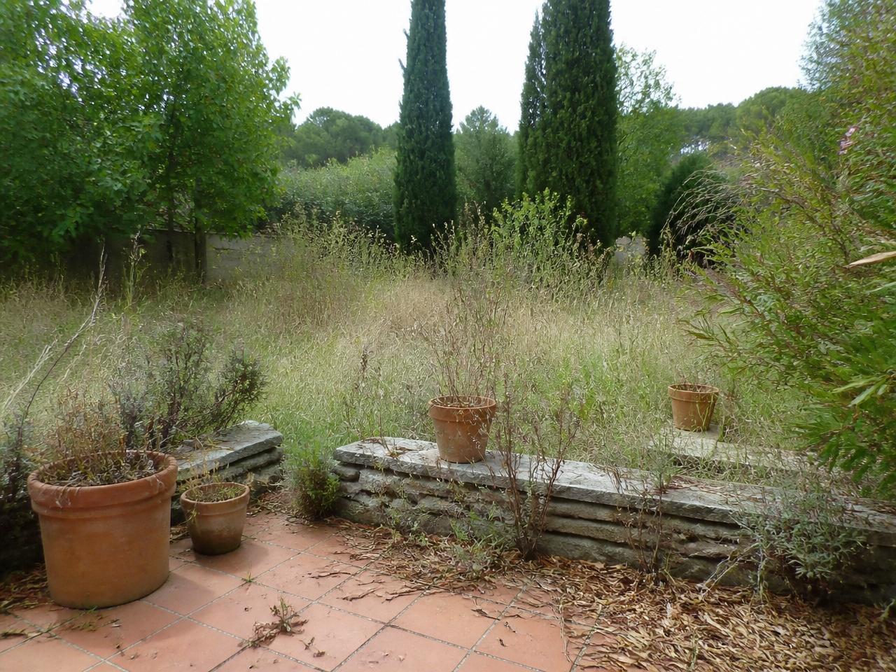 Jardin en friche avant l'intervention de PROVERT dans le Var